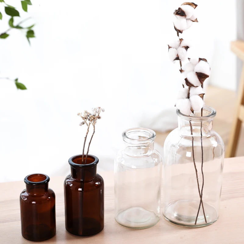 Modern Transparent Glass Vase – Small Decorative Bottle for Hydroponic Plants, Dried Flowers, and Home Living Room Décor