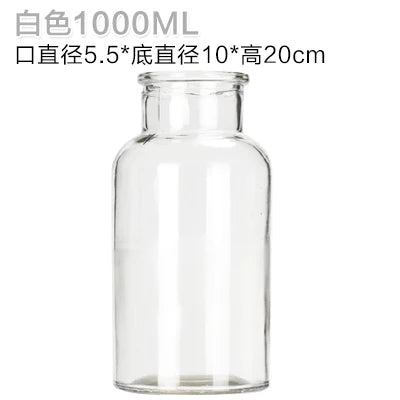 Modern Transparent Glass Vase – Small Decorative Bottle for Hydroponic Plants, Dried Flowers, and Home Living Room Décor