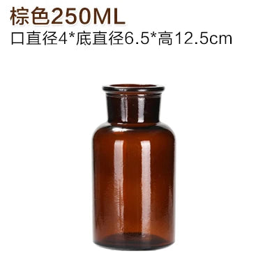 Modern Transparent Glass Vase – Small Decorative Bottle for Hydroponic Plants, Dried Flowers, and Home Living Room Décor